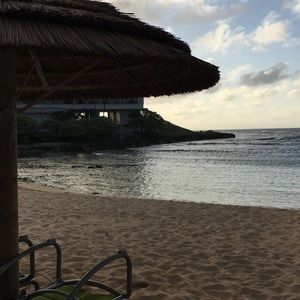 Meet your Posher, Ava